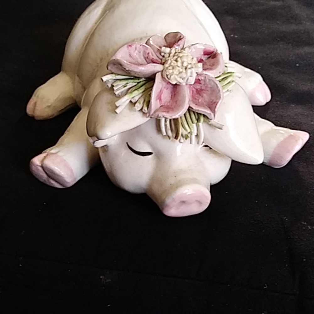Pig